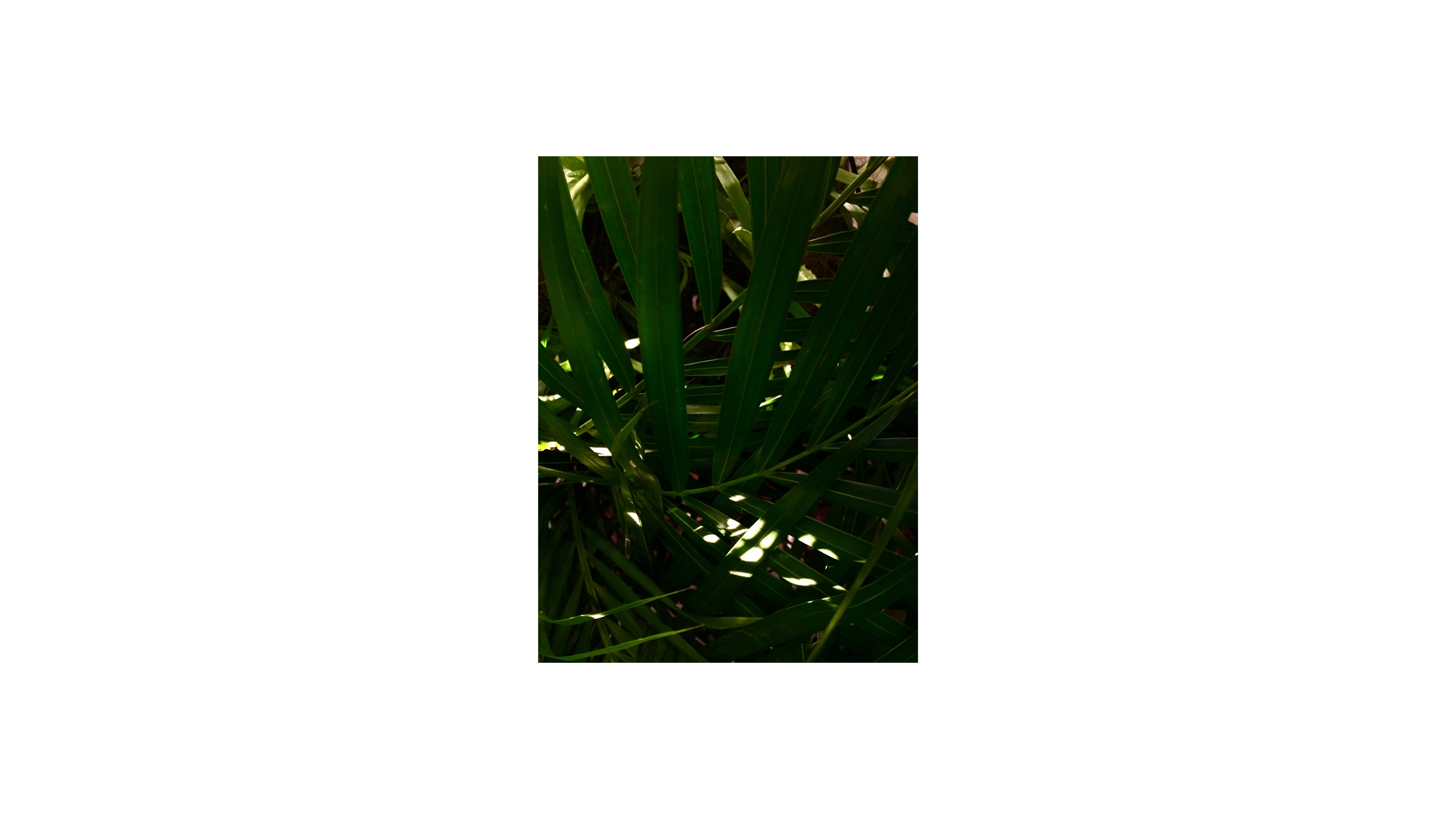 Fotografía de autor 2