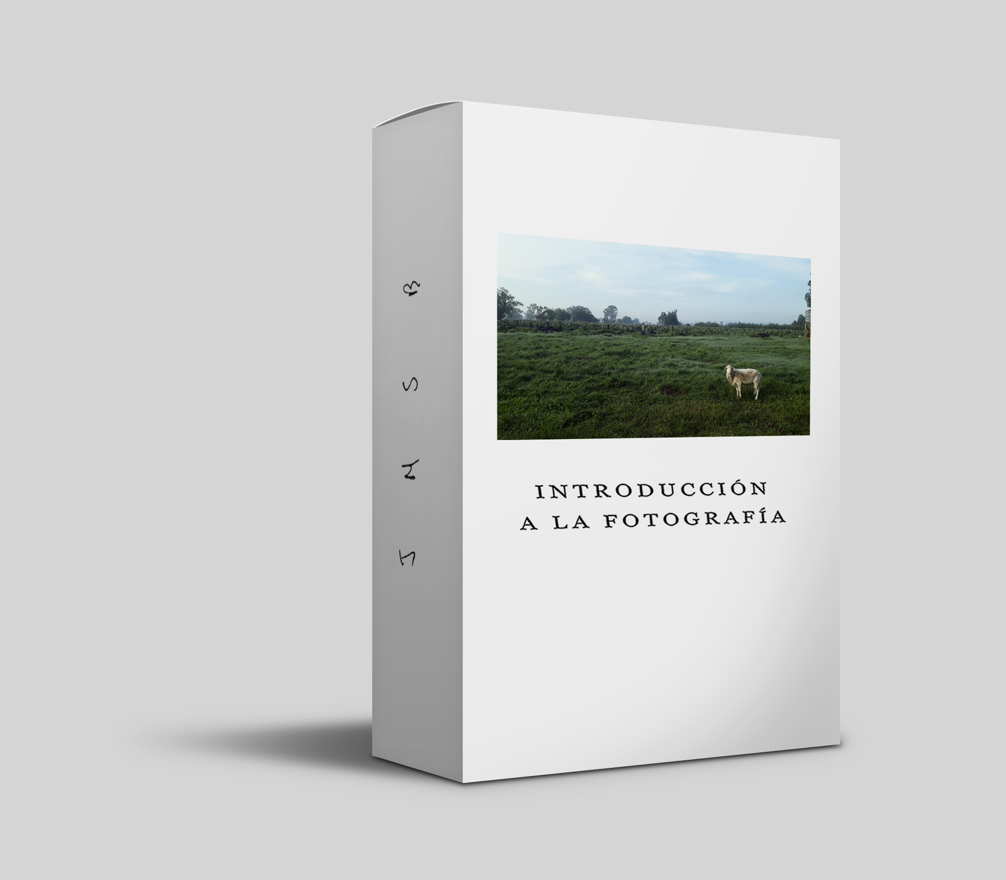 Introducción a la Fotografía.